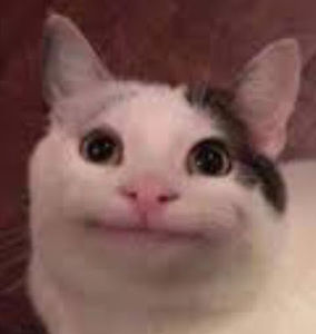 Meet your Posher, Tabitha